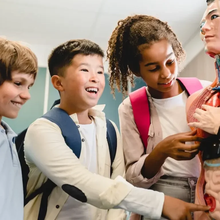 Fortbildung, Lehre und Wissenschaft Kinder lernen die Anatomie des Menschen anhand eines Körpermodell in einem Klassenzimmer.